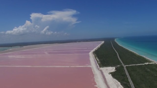 Un lago en India se tiñó de rosa y los científicos aún no se ...