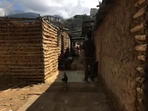 En Caucaguita sobreviven entre la pobreza extrema y casas hechas de lo que sea (Videos)