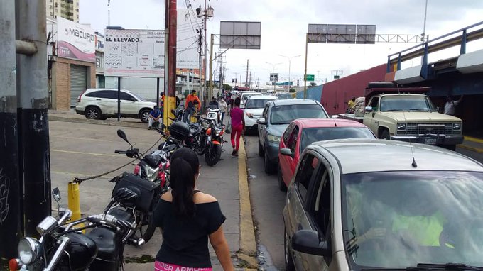 En Anzoátegui, a los carros les salen raíces esperando por la gasolina #8Jun (Fotos)
