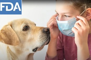 La FDA advierte que los humanos pueden transmitir el coronavirus a sus mascotas