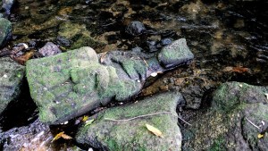 Pescador encontró una escultura gótica de la Virgen María en un río de España (Fotos)