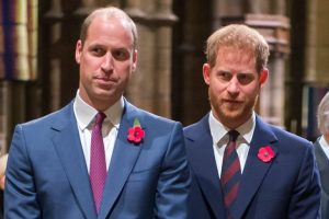Los príncipes William y Harry tienen una cita en Londres