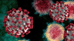 Pico en casos de coronavirus en el condado de Napa, California, vinculado a reuniones del Memorial Day