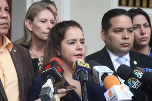 Karin Salanova denunció que en Venezuela se vulneran los derechos de los niños
