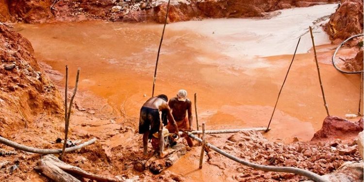 Pueblos indígenas de Maripa denuncian imposición de minería ilegal en el río Caura