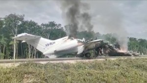 Aeronave derribada en México llevaba casi 400 kilos de cocaína