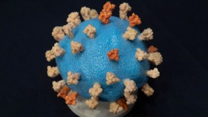 Las proteínas humanas podrían estar provocando algunas mutaciones del nuevo coronavirus