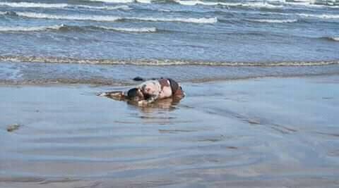 Localizan un tercer cuerpo con traje de buzo en la playa sur de Adícora, en Falcón (Fotos)
