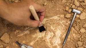 El ATERRADOR descubrimiento de unos arqueólogos en un yacimiento en España (FOTOS)