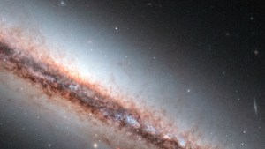 Así se ve el descomunal campo magnético de una galaxia espiral (FOTOS)