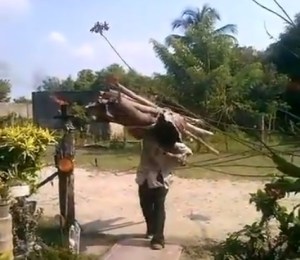 Los zulianos, condenados a cocinar a leña por culpa del régimen de Maduro (VIDEO)