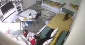 ¡Escalofriante! Protegió a tres niños en pleno impacto de la explosión en Líbano (VIDEO)