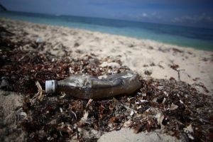 De beneficio a amenaza: El plástico ya llegó hasta los tejidos y órganos humanos a causa de la contaminación