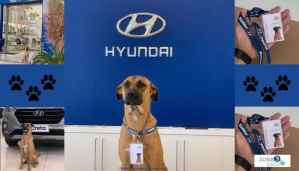 Víctor Ramos: El perrito de Hyundai