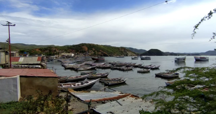 Peligra el 70 % de la sardina que consumen los venezolanos por falta de gasolina para los pescadores