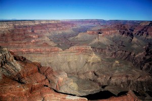Colapso de un acantilado en el Gran Cañón reveló huellas fosilizadas de hace 313 millones de años