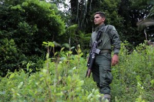 Las hectáreas sembradas de coca en Colombia se redujeron un 7 % en 2020