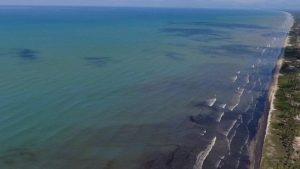 El derrame de petróleo en Morrocoy podría afectar el hábitat marino por 30 años