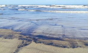 Ambientalistas denuncian que Inparques les prohibió participar en limpieza de derrame en Falcón