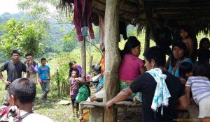 Fallecieron dos niños indígenas por desnutrición en Amazonas