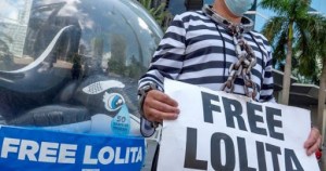Manifestaron por la liberación de la orca Lolita que tiene medio siglo encerrada en Miami
