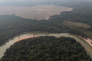 La Amazonía brasileña perdió unos 8.500 kilómetros cuadrados de selva en 2020