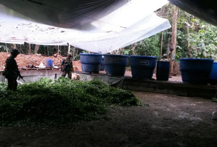Destruyeron 14 laboratorios de cocaína manejados por el ELN en Colombia (Fotos y Video)