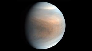 Encuentran posibles signos de vida en Venus y los memes terrícolas no se hacen esperar (IMÁGENES)
