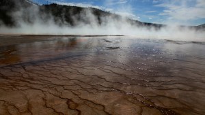 Expertos detectaron casi 100 sismos durante 24 horas en Yellowstone con una precisión histórica