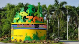 El zoológico de Miami reabre sus puertas después de dos meses de cierre este #15Sep