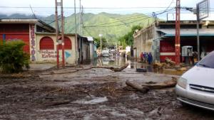Parliamentarians request declaration of emergency to affected sectors in Aragua