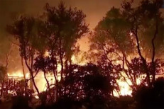 La familia causante del voraz incendio en California podría deber millones de dólares por los daños ocasionados
