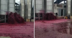 ¡Gran desastre! Tanque averiado derramó 50 mil litros de vino en España (VIDEO)