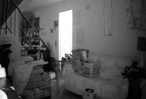 Captó con la cámara de seguridad como el “fantasma de un niño” hablaba con su perro (Video)