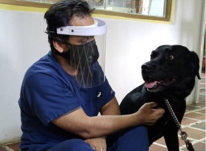 Concejo Municipal de Chacao presentará un taller online gratuito sobre los cuidados de las mascotas