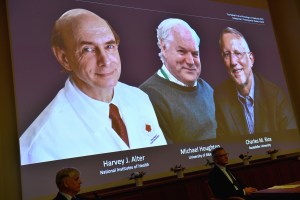 Nobel de Medicina a descubridores del virus de la hepatitis C