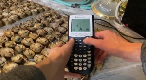 ¡Increíble! Logran instalar reconocido videojuego en una calculadora científica alimentada por papas cocidas (VIDEO)