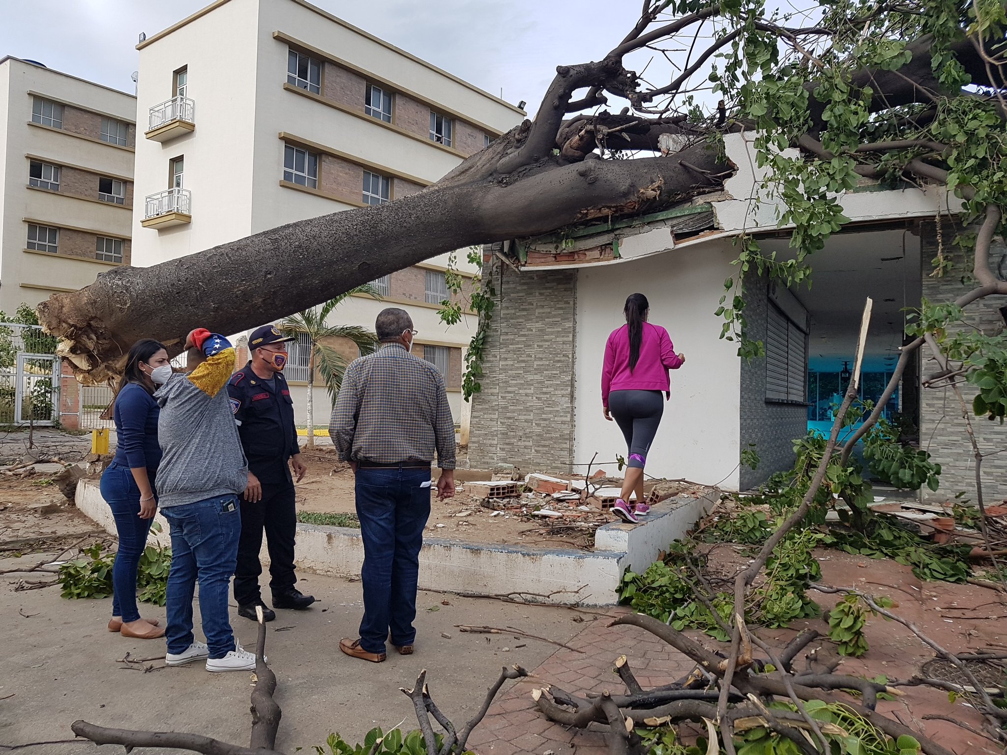 Fuertes vientos generaron daños en varios sectores de La Guaira #13Oct (FOTOS)
