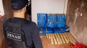 Policía de Paraguay incautó más de 140 kilos de marihuana en una vivienda (Fotos)