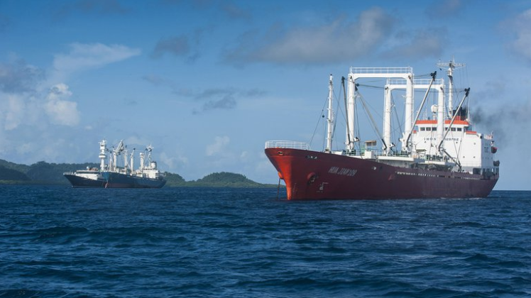 Ambientalistas advirtieron sobre los peligros de la presencia de la flota de China en aguas chilenas