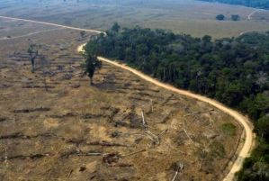 Guardianes de la Selva lanzan campaña internacional por la Amazonía brasileña