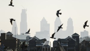 Catastrófico evento: Más de 1.000 pájaros colisionan contra rascacielos y caen muertos en calles de Filadelfia