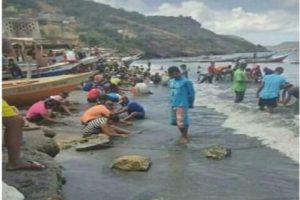 Habitantes en Sucre dicen haber encontrado un tesoro en la playa de Guaca