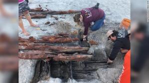 Erosión de las playas por la tormenta tropical Eta reveló los restos de un antiguo naufragio en Florida