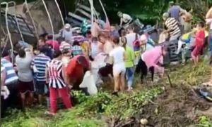 Saquearon camión de frutas y hortalizas que se accidentó en Táchira rumbo a Caracas (VIDEO)