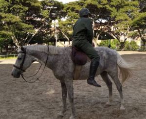 Para esto quedó la Fanb: Hacer payasadas con un caballo (Fotos)