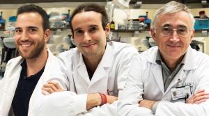 Crean un reloj que predice la evolución de pacientes con cáncer