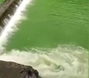 Misterio en un río de China: El agua se vuelve verde de la noche a la mañana y no es por contaminación (VIDEO)