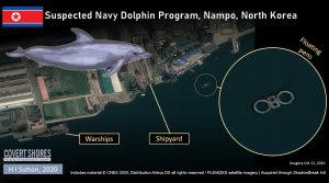 Evidencias sugieren que Corea del Norte trabaja en un programa de mamíferos marinos con fines militares (Fotos satelitales)