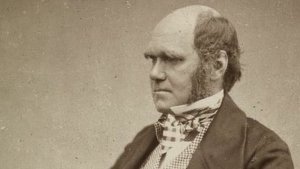 Día Mundial de la Evolución: por qué se celebra cada 24 de noviembre en honor a Charles Darwin